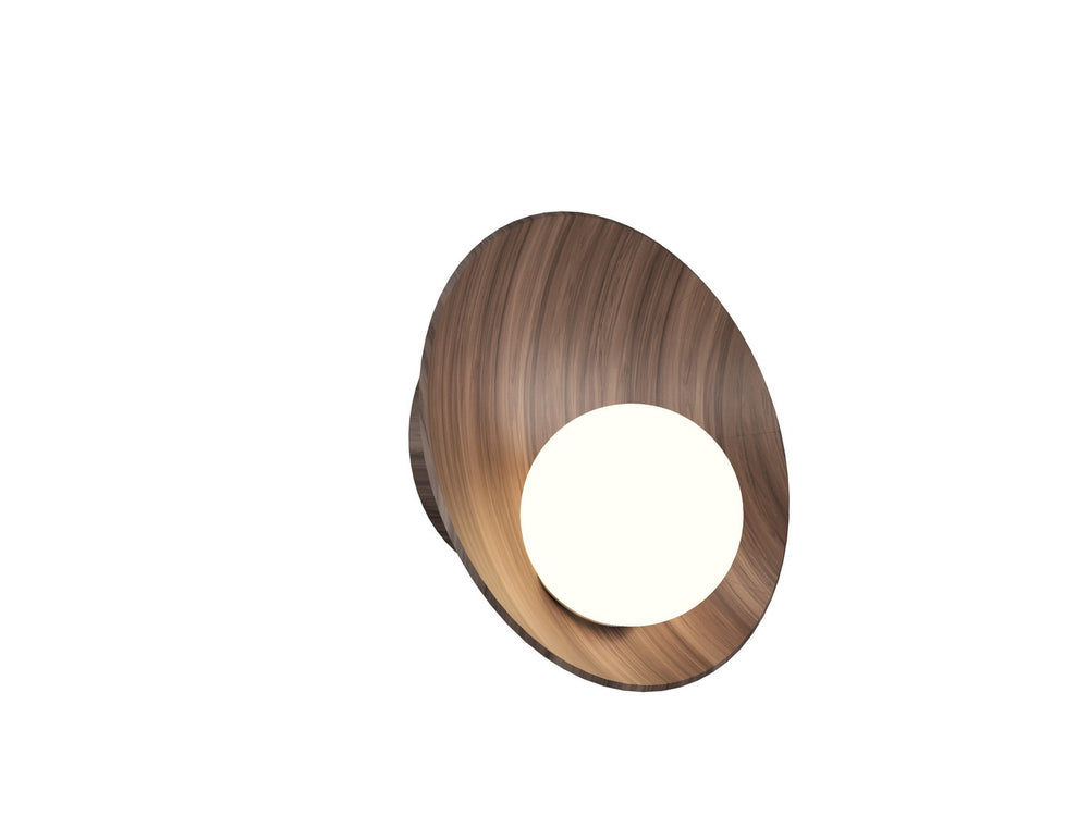 Accord Lighting - One Light Wall Lamp - Oyster - American Walnut- Union Lighting Luminaires Decor