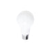 Renwil Canada - Light Bulb - Lemmie- Union Lighting Luminaires Decor