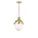 Regina Andrew Canada - Mini Pendants - Glass Down- Union Lighting Luminaires Decor