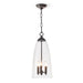 Regina Andrew Canada - Three Light Pendant - Maiden - Clear- Union Lighting Luminaires Decor