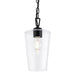 Progress Canada - One Light Pendant - Celino - Black- Union Lighting Luminaires Decor