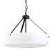 Progress Canada - Three Light Convertible Pendant - Lieon - Black- Union Lighting Luminaires Decor