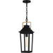 Quoizel - One Light Mini Pendant - Buckley - Matte Black- Union Lighting Luminaires Decor
