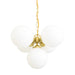 Mullan Lighting - Five Light Chandelier - Yaounde - Satin Brass- Union Lighting Luminaires Decor