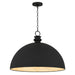 Quoizel - One Light Pendant - Braylon - Matte Black- Union Lighting Luminaires Decor
