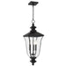 Quoizel - Three Light Outdoor Hanging Lantern - Farley - Matte Black- Union Lighting Luminaires Decor