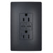 Legrand Canada - 65W USB Outlet, Type C, 15A, Tamper-Resistant- Union Lighting Luminaires Decor