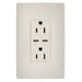 Legrand Canada - 65W USB Outlet, Type C, 15A, Tamper-Resistant- Union Lighting Luminaires Decor