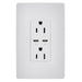 Legrand Canada - 65W USB Outlet, Type C, 15A, Tamper-Resistant- Union Lighting Luminaires Decor