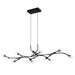 Quoizel - LED Island Pendant - Cora - Matte Black- Union Lighting Luminaires Decor