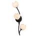 Quoizel - Three Light Wall Sconce - Walker - Matte Black- Union Lighting Luminaires Decor