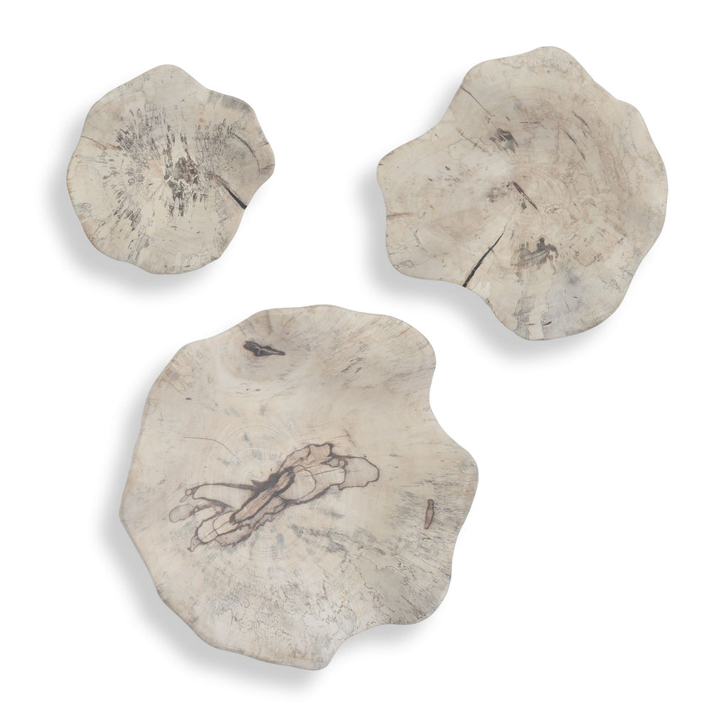 Uttermost - Wall Decor Set/3 - Teo - Light Bleached- Union Lighting Luminaires Decor