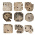 Uttermost - Wall Decor Set/9 - Bahati - Light Bleached- Union Lighting Luminaires Decor