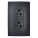 Legrand Canada - 65W Commercial USB Outlet, Type C, 20A, Tamper-Resistant- Union Lighting Luminaires Decor