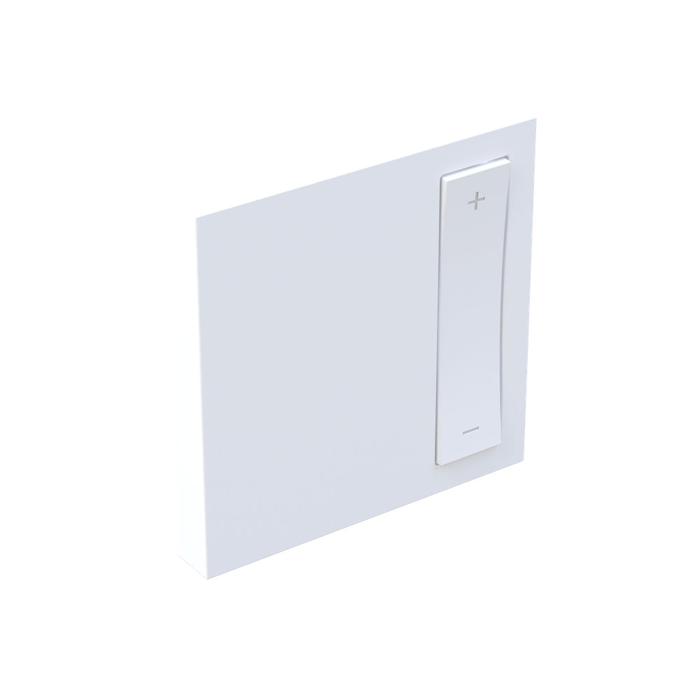 Legrand Canada - Remote Smart Dimmer with Netatmo Color Change Kit- Union Lighting Luminaires Decor