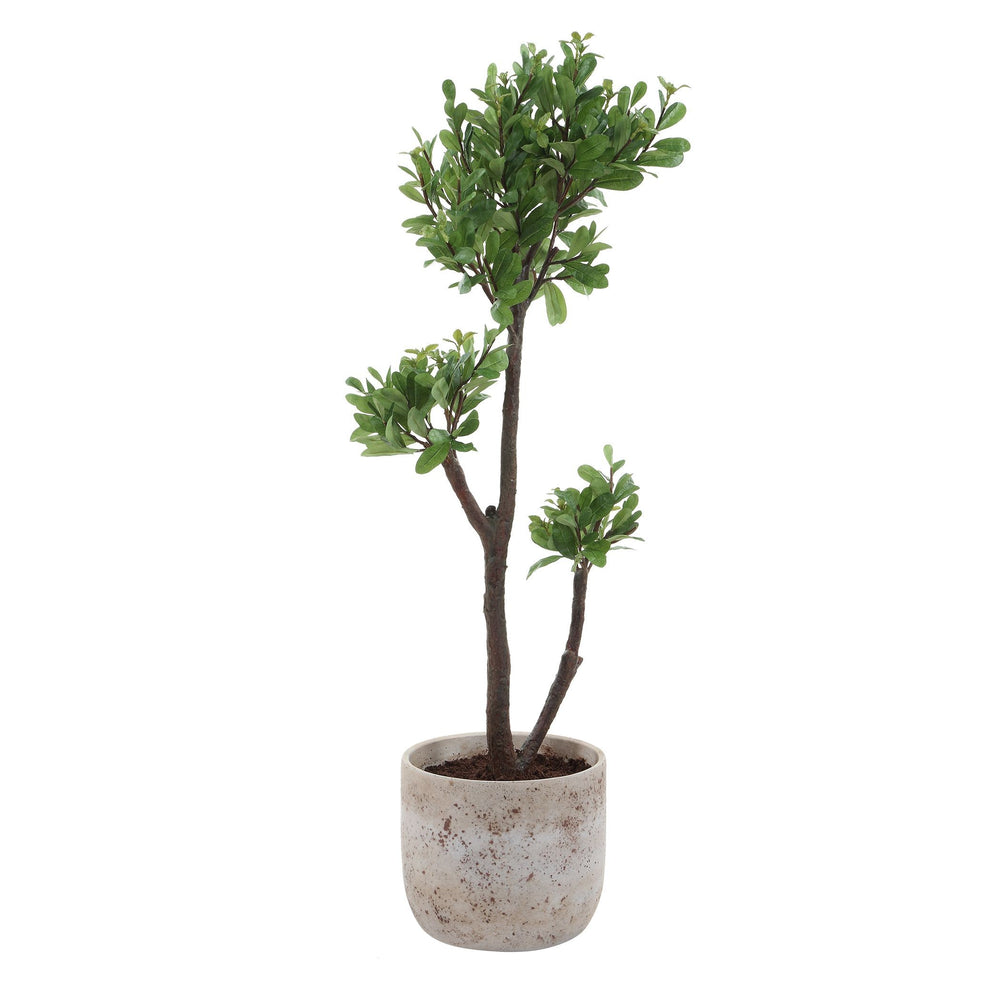 Uttermost - Tree - Arbor Strawberry - Aged Ivory- Union Lighting Luminaires Decor