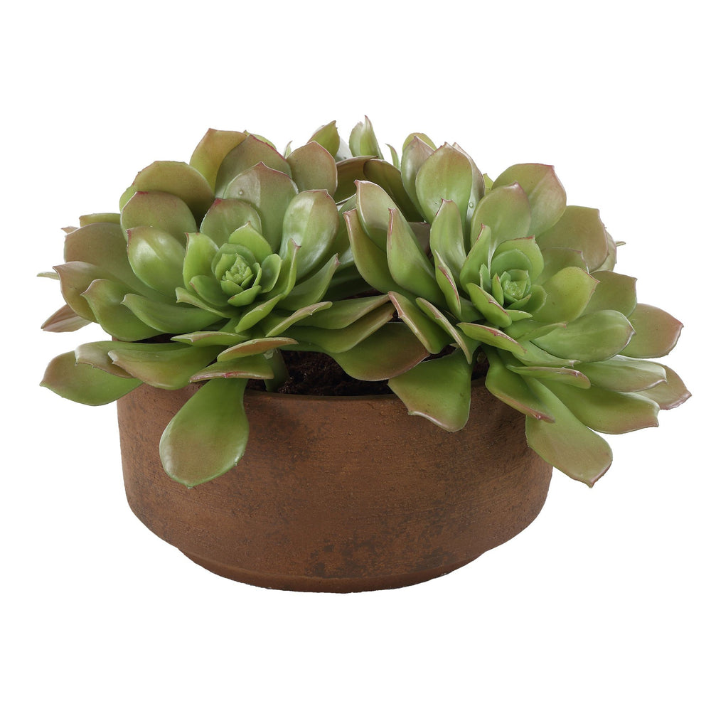 Uttermost - Accent In Pot - Sable Succulent - Natural Terracotta- Union Lighting Luminaires Decor