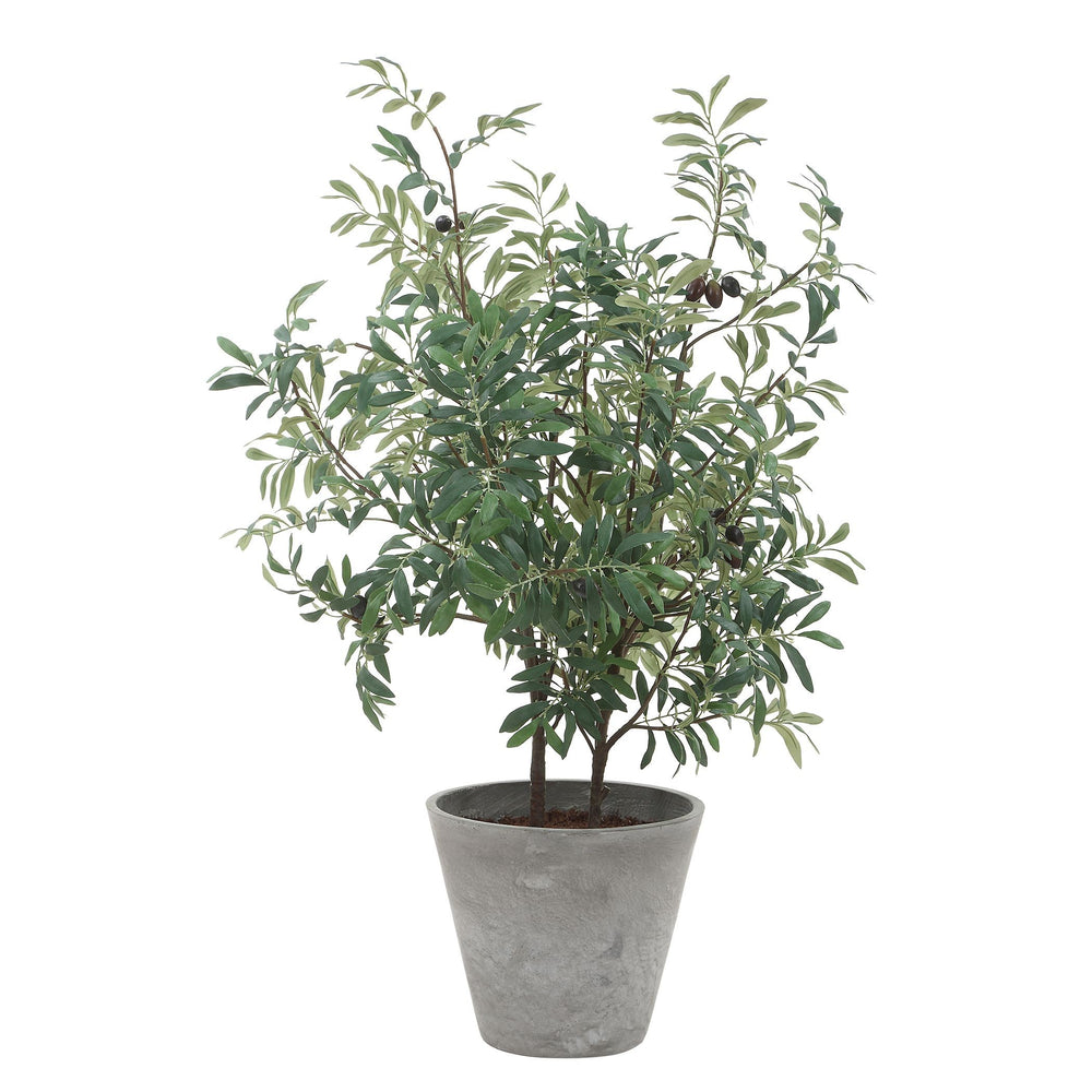 Uttermost - Planter - Marisol - Natural-looking Olives- Union Lighting Luminaires Decor