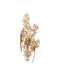 Currey and Company - One Light Wall Sconce - Aviary - Swedish Gold- Union Lighting Luminaires Decor