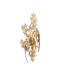 Currey and Company - One Light Wall Sconce - Aviary - Swedish Gold- Union Lighting Luminaires Decor