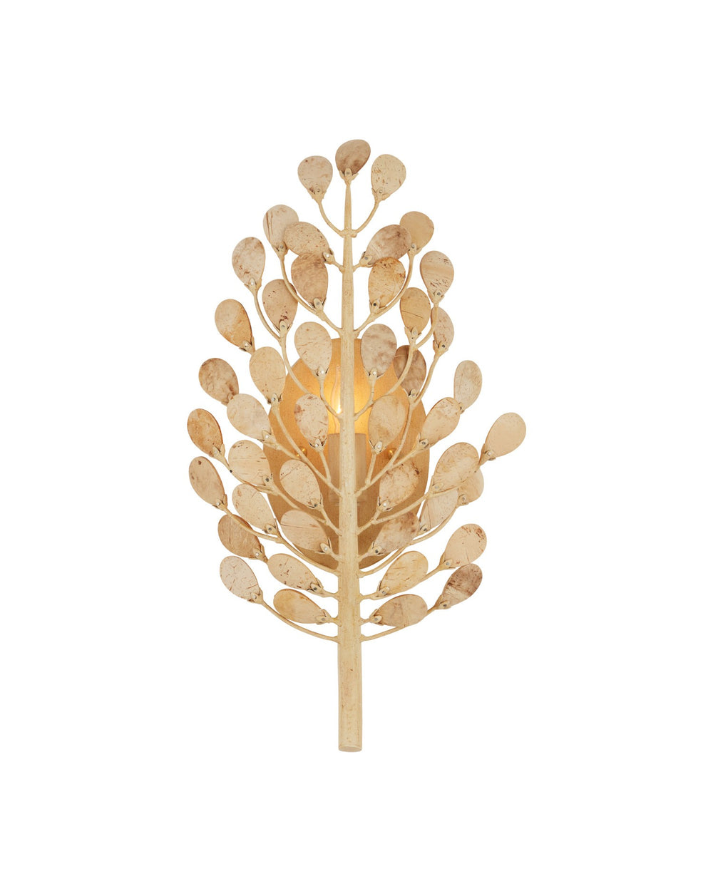 Currey and Company - One Light Wall Sconce - Maypan - Natural/Coco Cream- Union Lighting Luminaires Decor