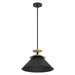 Thesis Canada - One Light Pendant - Tremolo - Textured Black, Champagne Gold- Union Lighting Luminaires Decor