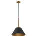 Thesis Canada - One Light Pendant - Mcgill - Natural Brass, Matte Black- Union Lighting Luminaires Decor