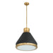 Thesis Canada - One Light Pendant - Doyle - Natural Brass, Matte Black- Union Lighting Luminaires Decor