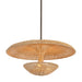 Troy Lighting Canada - Three Light Pendant - Draco - Bronze Leaf- Union Lighting Luminaires Decor