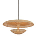 Troy Lighting Canada - Three Light Pendant - Draco - Bronze Leaf- Union Lighting Luminaires Decor