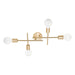 Eglo Canada - Four Light Wall/Ceiling Light - Avondale - Brushed Gold- Union Lighting Luminaires Decor