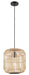 Eglo Canada - One Light Pendant - Bordesley - Black- Union Lighting Luminaires Decor