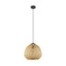 Eglo Canada - One Light Pendant - Dembleby - Black- Union Lighting Luminaires Decor