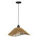 Eglo Canada - One Light Dual Mount Pendant or Ceiling - Lavister - Black- Union Lighting Luminaires Decor