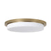 Capital Lighting - LED Flush Mount - Dominic - Aged Brass- Union Lighting Luminaires Decor