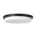 Capital Lighting - LED Flush Mount - Dominic - Matte Black- Union Lighting Luminaires Decor