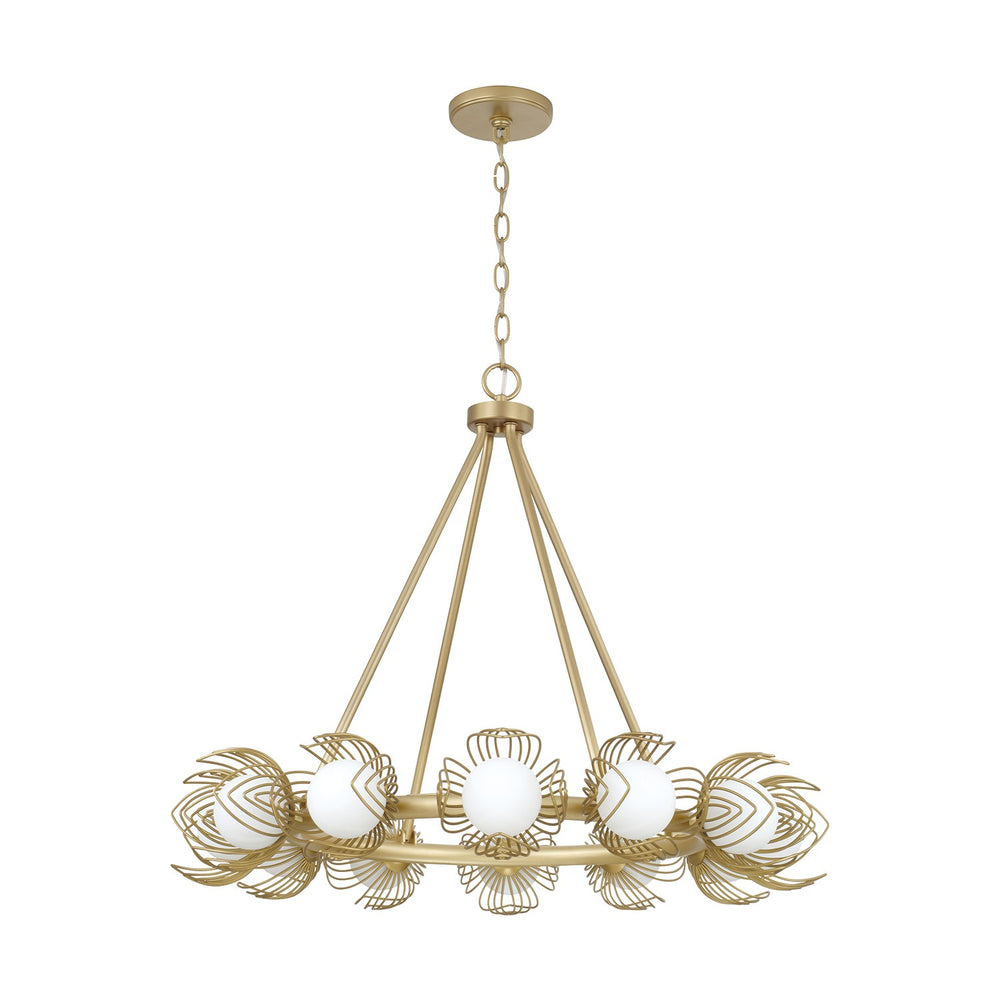 Capital Lighting - 12 Light Chandelier - Flora - Buffed Gold- Union Lighting Luminaires Decor