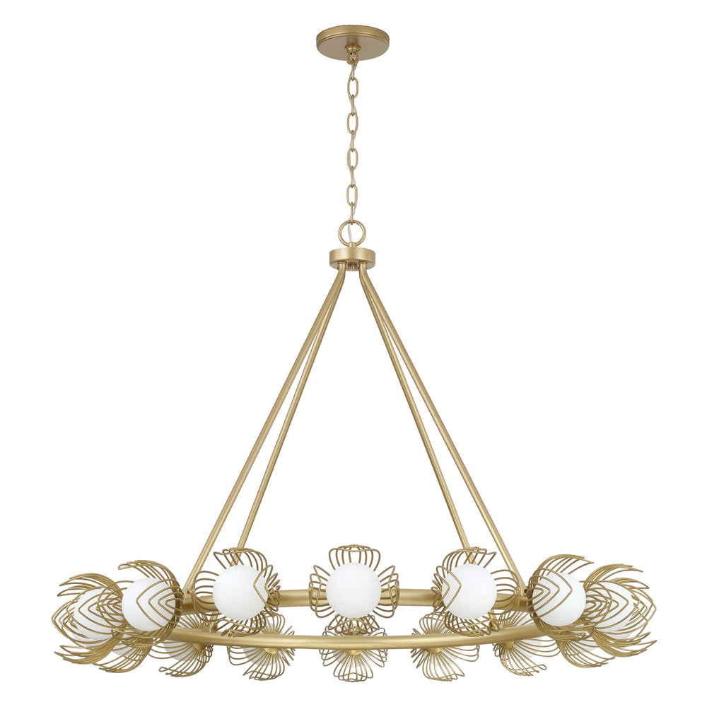 Capital Lighting - 16 Light Chandelier - Flora - Buffed Gold- Union Lighting Luminaires Decor