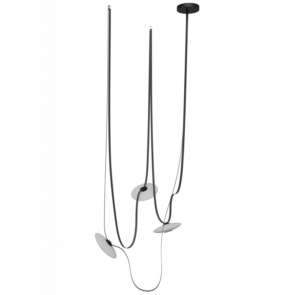 Avenue Lighting - LED Chandelier - Fremont - Black- Union Lighting Luminaires Decor