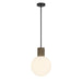 Savoy House - One Light Pendant - Jarrell - Matte Black- Union Lighting Luminaires Decor