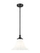 Z-Lite Canada - One Light Pendant - Fleur - Matte Black- Union Lighting Luminaires Decor