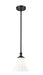 Z-Lite Canada - One Light Pendant - Fleur - Matte Black- Union Lighting Luminaires Decor