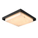 DVI Canada - LED Flushmount - Topaz - Ebony- Union Lighting Luminaires Decor