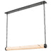 DVI Canada - LED Linear Pendant - Orvana - Ebony- Union Lighting Luminaires Decor