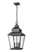 Z-Lite Canada - Three Light Outdoor Chain Mount Ceiling Fixture - Raphael - Sand Black- Union Lighting Luminaires Decor