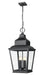 Z-Lite Canada - Four Light Outdoor Chain Mount Ceiling Fixture - Raphael - Sand Black- Union Lighting Luminaires Decor