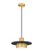 Z-Lite Canada - LED Pendant - Ludo - Matte Black + Modern Gold- Union Lighting Luminaires Decor