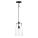 Maxim - One Light Pendant - Hudson - Black- Union Lighting Luminaires Decor
