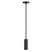 Maxim - LED Pendant - Fulcrum - Black- Union Lighting Luminaires Decor