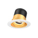 Dals Canada - Modular Downlight - Moda - Gold- Union Lighting Luminaires Decor